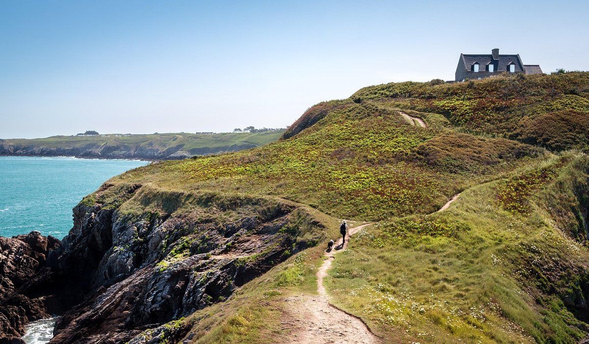 A Guide to Rockpooling for Families on Yorkshire Beaches