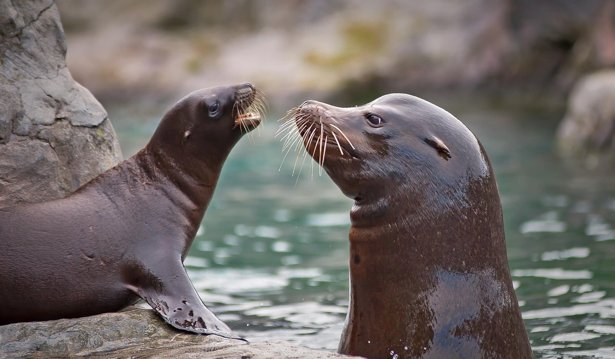 Day Trips to Nearby Moors and Fishing Villages